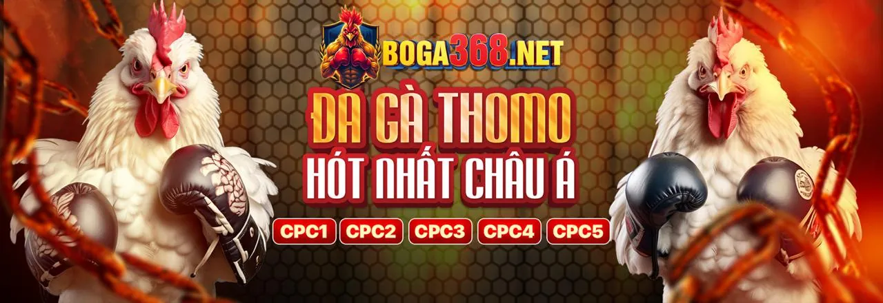 Telegram 33bet